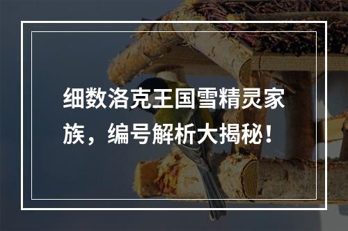 细数洛克王国雪精灵家族，编号解析大揭秘！