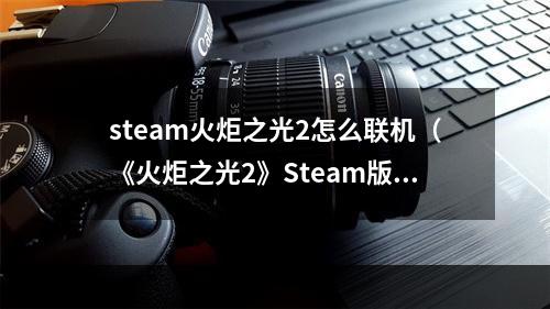 steam火炬之光2怎么联机（《火炬之光2》Steam版怎么联机？教你快速开启游戏联机模式！）