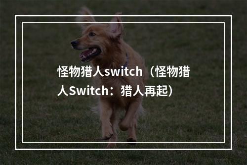 怪物猎人switch（怪物猎人Switch：猎人再起）