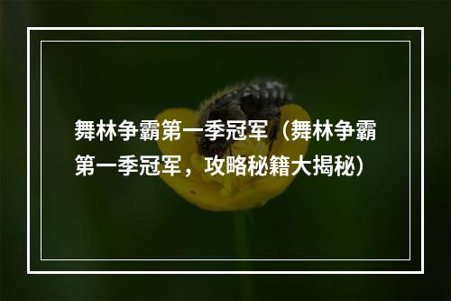 舞林争霸第一季冠军（舞林争霸第一季冠军，攻略秘籍大揭秘）