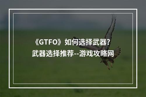 《GTFO》如何选择武器？武器选择推荐--游戏攻略网