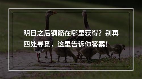 明日之后钢筋在哪里获得？别再四处寻觅，这里告诉你答案！