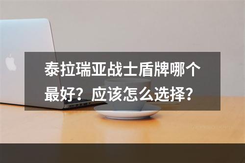 泰拉瑞亚战士盾牌哪个最好？应该怎么选择？