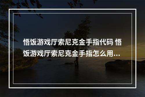 悟饭游戏厅索尼克金手指代码 悟饭游戏厅索尼克金手指怎么用--手游攻略网