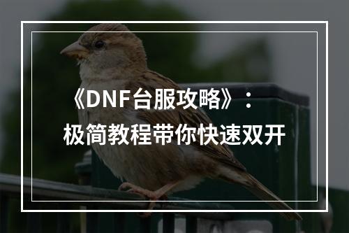 《DNF台服攻略》：极简教程带你快速双开