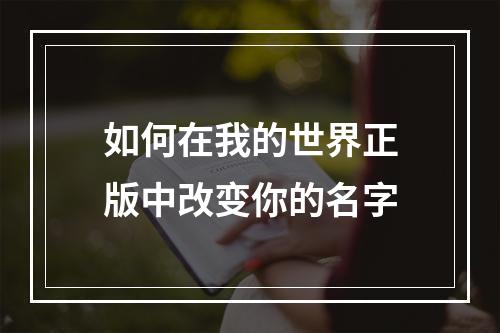 如何在我的世界正版中改变你的名字