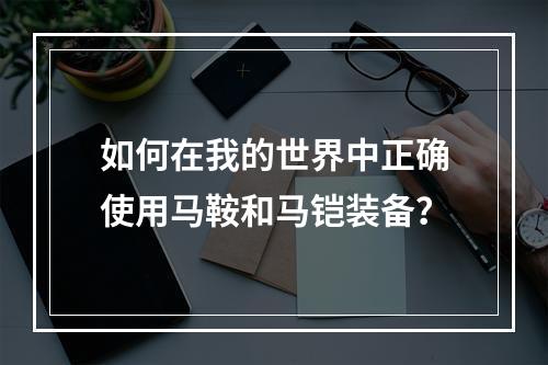 如何在我的世界中正确使用马鞍和马铠装备？