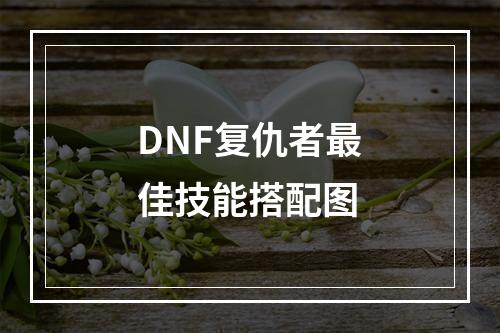 DNF复仇者最佳技能搭配图