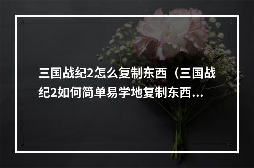 三国战纪2怎么复制东西（三国战纪2如何简单易学地复制东西？）