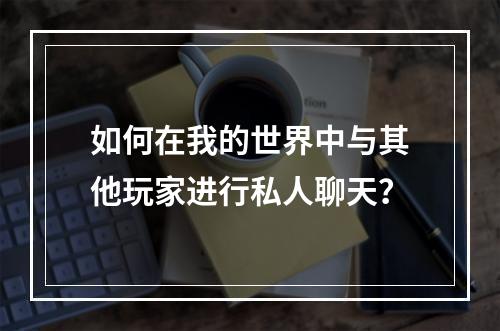 如何在我的世界中与其他玩家进行私人聊天？