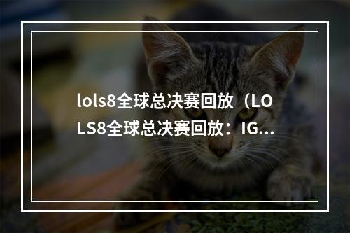 lols8全球总决赛回放（LOLS8全球总决赛回放：IG夺冠、FPX晋级众望所归）