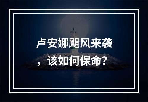 卢安娜飓风来袭，该如何保命？