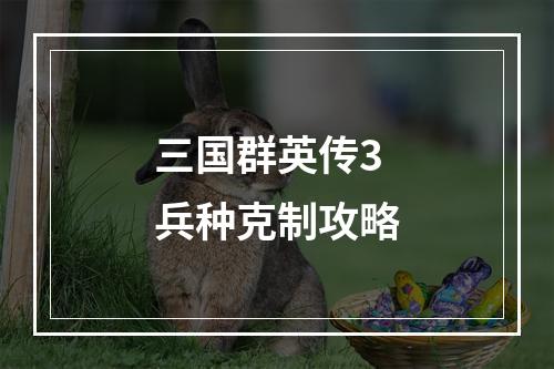 三国群英传3兵种克制攻略