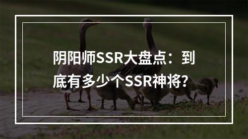 阴阳师SSR大盘点：到底有多少个SSR神将？