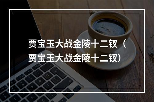 贾宝玉大战金陵十二钗（贾宝玉大战金陵十二钗）