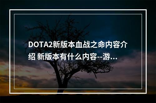 DOTA2新版本血战之命内容介绍 新版本有什么内容--游戏攻略网