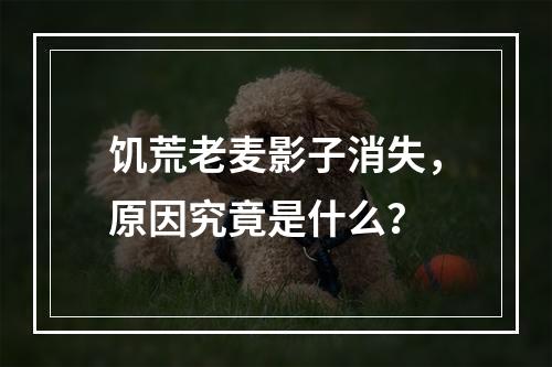 饥荒老麦影子消失，原因究竟是什么？