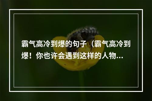 霸气高冷到爆的句子（霸气高冷到爆！你也许会遇到这样的人物，他们眼神中透露出的不屑和自信，行事冷酷无情