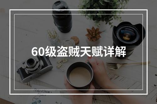 60级盗贼天赋详解