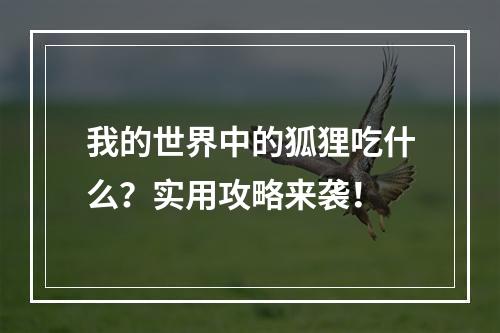 我的世界中的狐狸吃什么？实用攻略来袭！