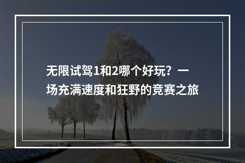 无限试驾1和2哪个好玩？一场充满速度和狂野的竞赛之旅