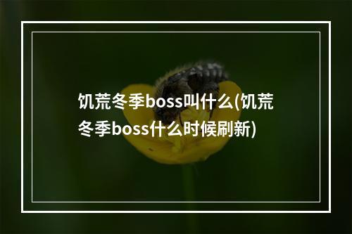 饥荒冬季boss叫什么(饥荒冬季boss什么时候刷新)