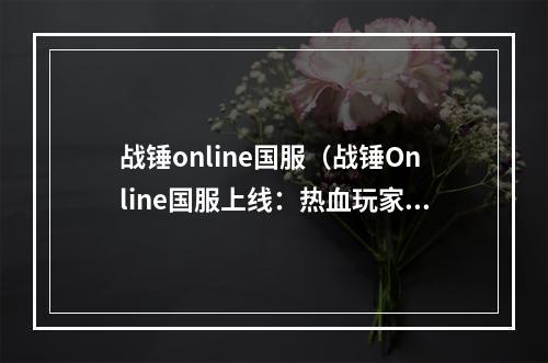 战锤online国服（战锤Online国服上线：热血玩家们怎么玩？）