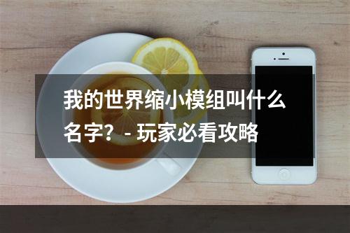 我的世界缩小模组叫什么名字？- 玩家必看攻略