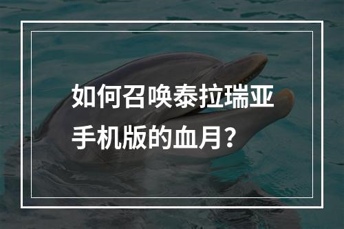 如何召唤泰拉瑞亚手机版的血月？