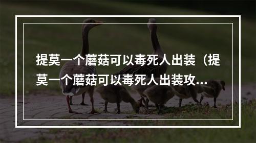 提莫一个蘑菇可以毒死人出装（提莫一个蘑菇可以毒死人出装攻略）