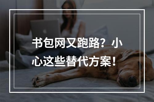 书包网又跑路？小心这些替代方案！