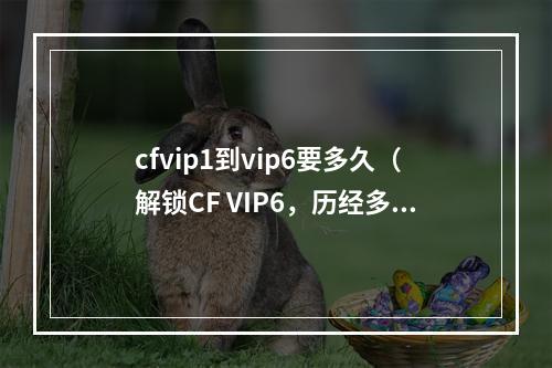 cfvip1到vip6要多久（解锁CF VIP6，历经多少风雨？）