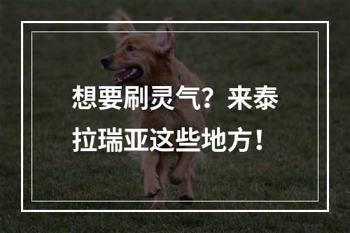 想要刷灵气？来泰拉瑞亚这些地方！