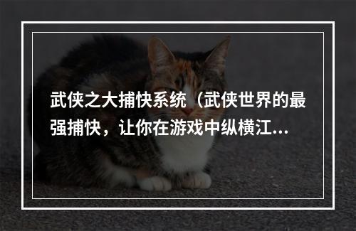 武侠之大捕快系统（武侠世界的最强捕快，让你在游戏中纵横江湖）