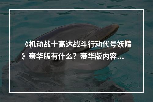 《机动战士高达战斗行动代号妖精》豪华版有什么？豪华版内容一览--游戏攻略网