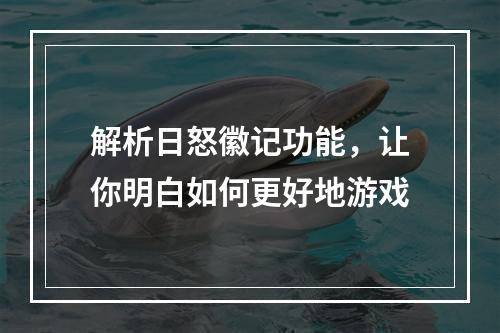 解析日怒徽记功能，让你明白如何更好地游戏