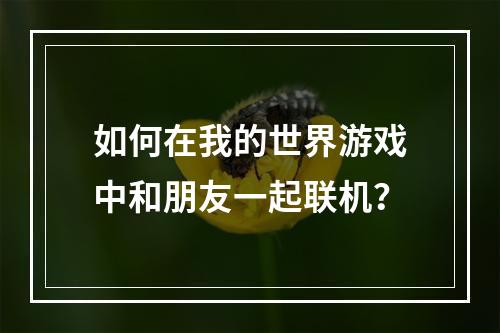 如何在我的世界游戏中和朋友一起联机？