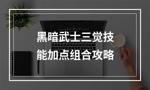 黑暗武士三觉技能加点组合攻略