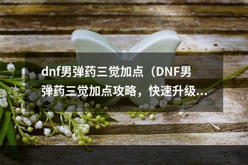 dnf男弹药三觉加点（DNF男弹药三觉加点攻略，快速升级打BOSS必备！）