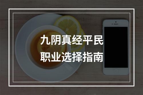 九阴真经平民职业选择指南