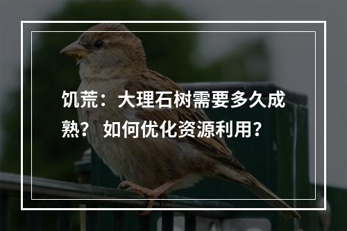 饥荒：大理石树需要多久成熟？ 如何优化资源利用？