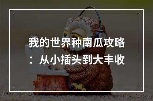 我的世界种南瓜攻略：从小插头到大丰收