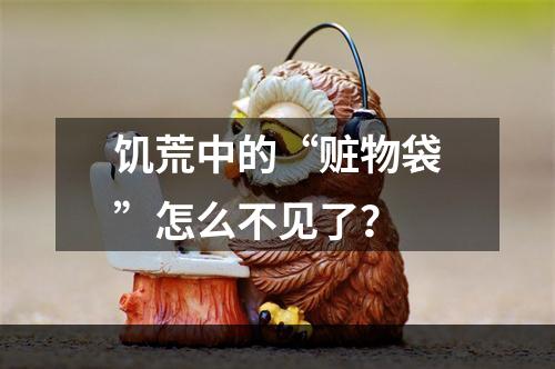 饥荒中的“赃物袋”怎么不见了？