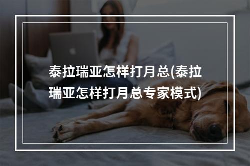 泰拉瑞亚怎样打月总(泰拉瑞亚怎样打月总专家模式)