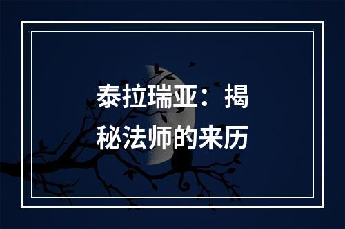 泰拉瑞亚：揭秘法师的来历