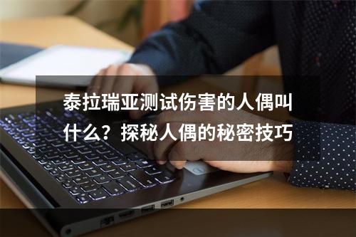 泰拉瑞亚测试伤害的人偶叫什么？探秘人偶的秘密技巧