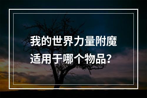 我的世界力量附魔适用于哪个物品？