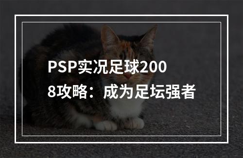 PSP实况足球2008攻略：成为足坛强者