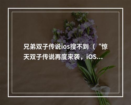 兄弟双子传说ios搜不到（“惊天双子传说再度来袭，iOS用户却始终搜索不到！”——以你的实力解锁谜题，终结