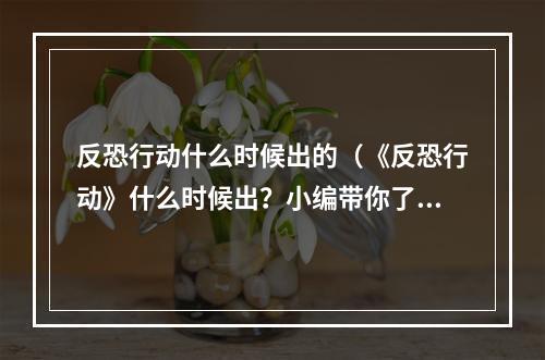 反恐行动什么时候出的（《反恐行动》什么时候出？小编带你了解最新消息）